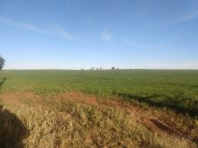 Venda Chácara São Pedro do Sul - RS Venda Chácara São Pedro do Sul - RS