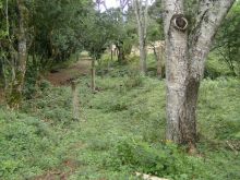 Venda Chácara Santa Maria - RS